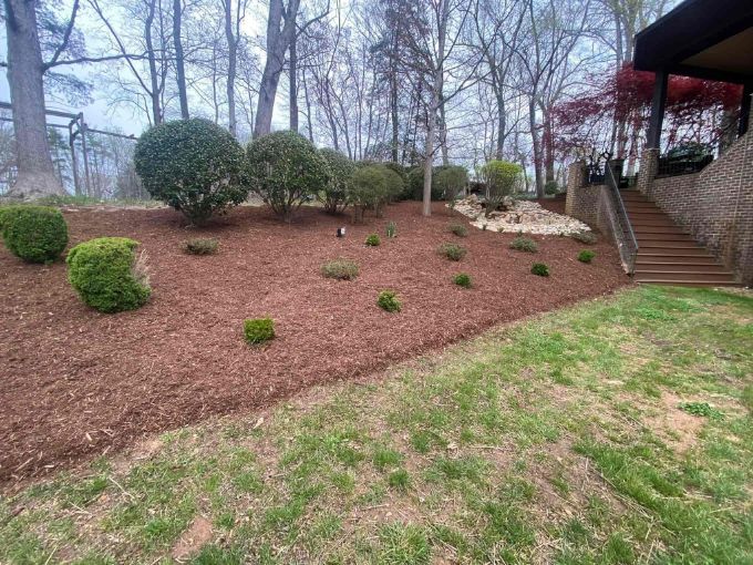 Pine Needle Installation